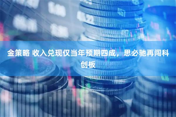 金策略 收入兑现仅当年预期四成，思必驰再闯科创板