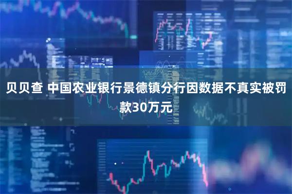 贝贝查 中国农业银行景德镇分行因数据不真实被罚款30万元